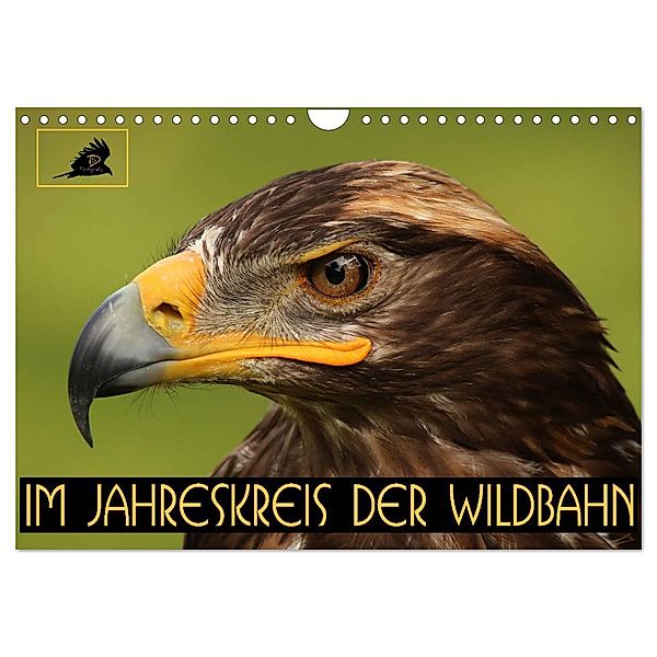 Im Jahreskreis der Wildbahn (Wandkalender 2024 DIN A4 quer), CALVENDO Monatskalender, Dirk Stamm