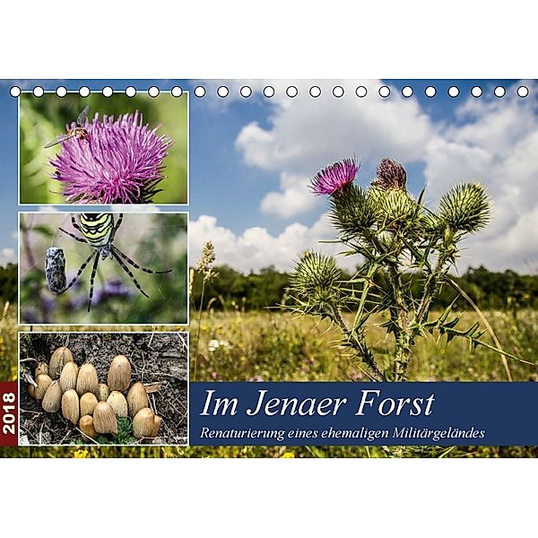 Im Jenaer Forst (Tischkalender 2018 DIN A5 quer), Gerd Gropp