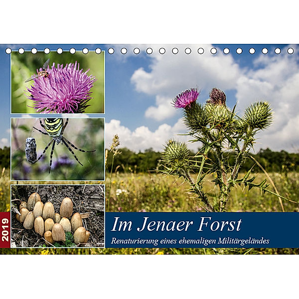 Im Jenaer Forst (Tischkalender 2019 DIN A5 quer), Gerd Gropp