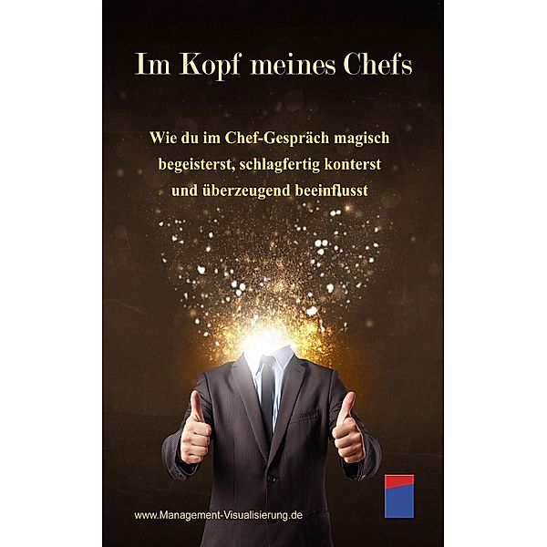 Im Kopf meines Chefs, Institut für ManagementVisualisierung