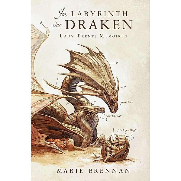 Im Labyrinth der Draken / Lady Trents Memoiren Bd.4, Marie Brennan