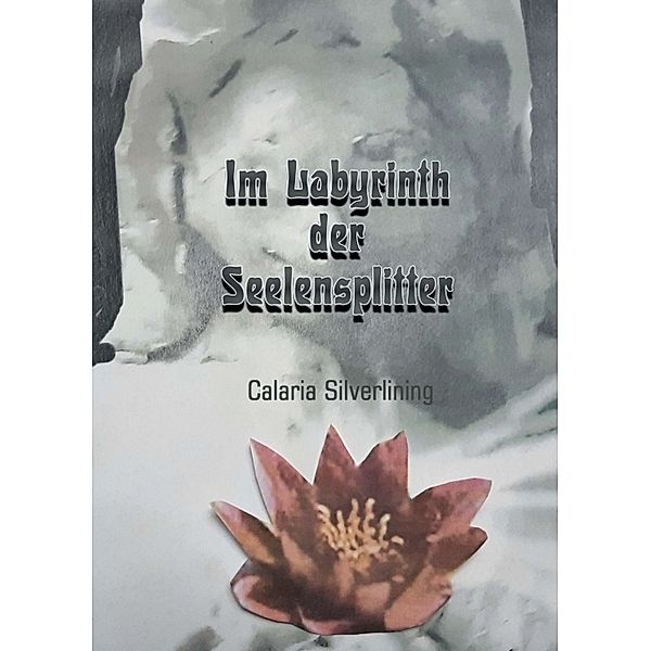 Im Labyrinth der Seelensplitter, Carlaria Silverlining