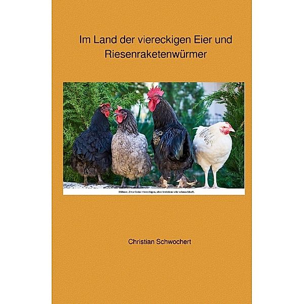 Im Land der viereckigen Eier und Riesenraketenwürmer, Christian Schwochert