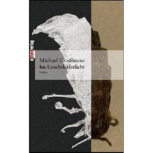 Im Leuchtkäferlicht, Michael Groißmeier