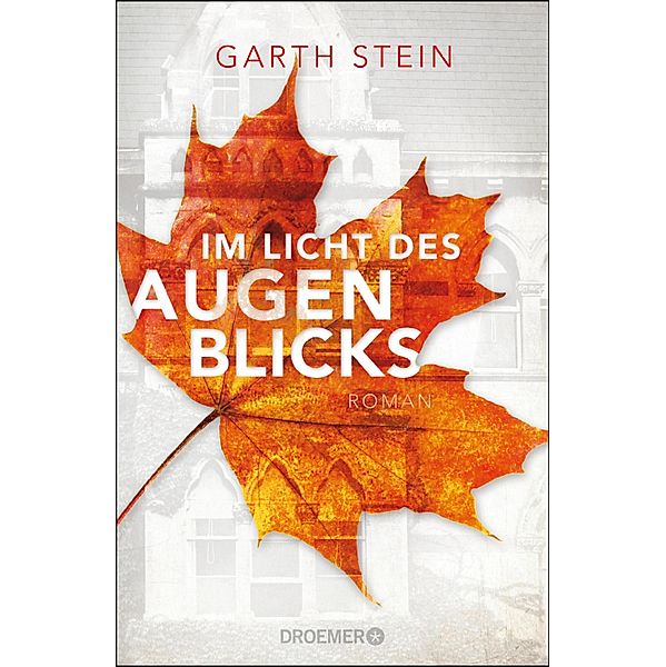 Im Licht des Augenblicks, Garth Stein