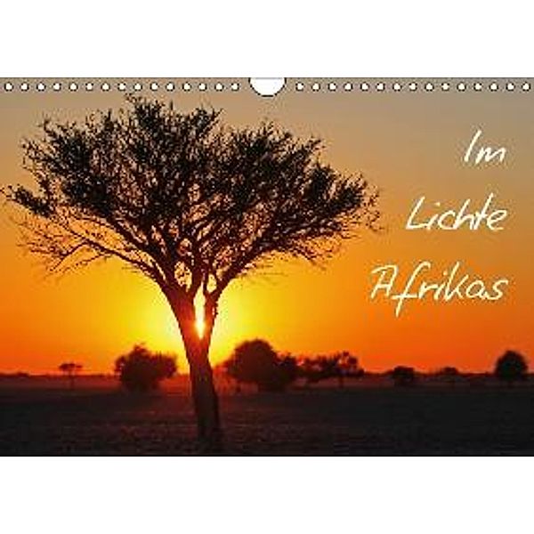 Im Lichte Afrikas (Wandkalender 2016 DIN A4 quer), Wibke Woyke