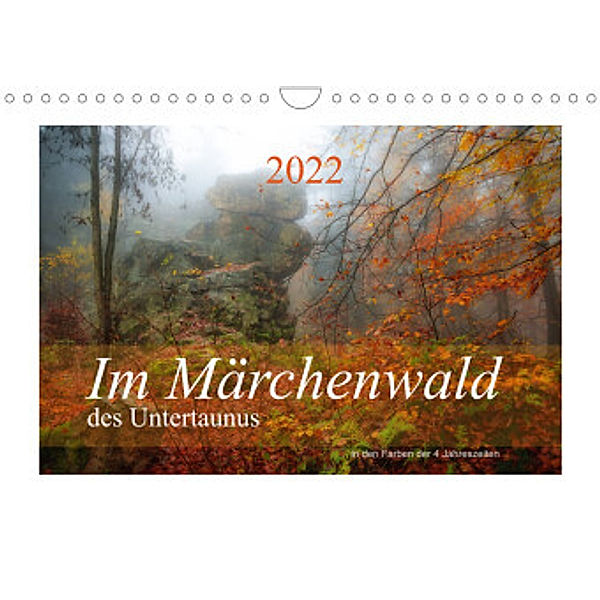 Im Märchenwald des Untertaunus (Wandkalender 2022 DIN A4 quer), Ana Rut Brè Designs