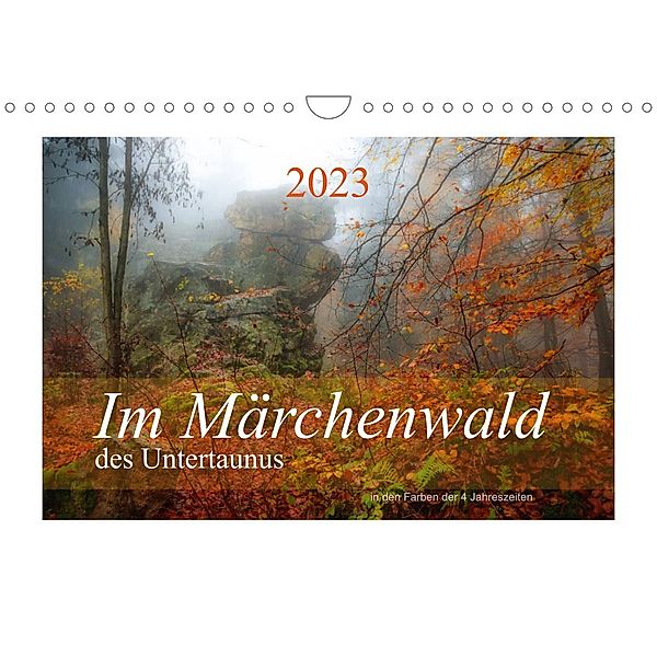 Im Märchenwald des Untertaunus (Wandkalender 2023 DIN A4 quer), Ana Rut Brè Designs