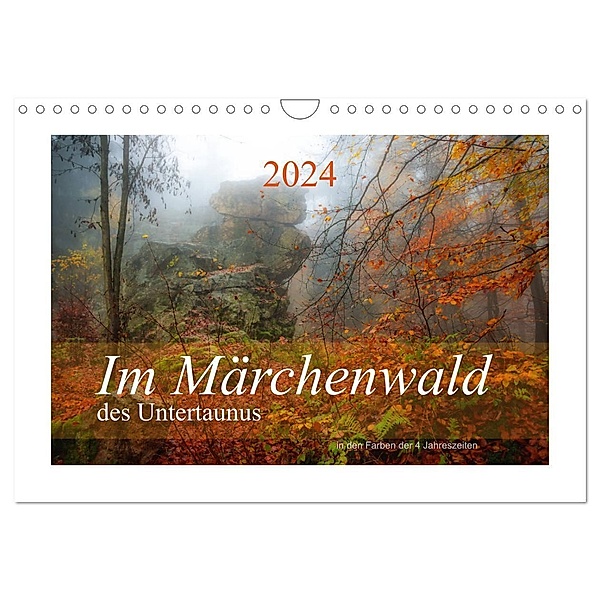 Im Märchenwald des Untertaunus (Wandkalender 2024 DIN A4 quer), CALVENDO Monatskalender, Ana Rut Brè Designs