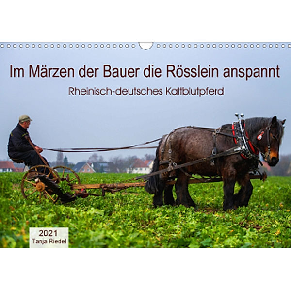 Im Märzen der Bauer die Rösslein anspannt (Wandkalender 2021 DIN A3 quer), Tanja Riedel