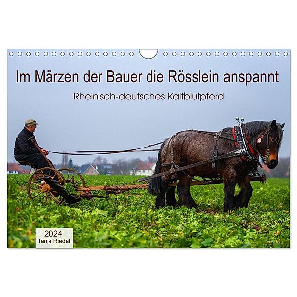 Im Märzen der Bauer die Rösslein anspannt (Wandkalender 2024 DIN A4 quer), CALVENDO Monatskalender, Tanja Riedel