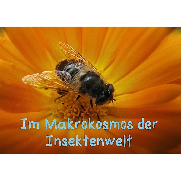 Im Makrokosmos der Insektenwelt (Posterbuch DIN A4 quer), Volkmar Großwendt