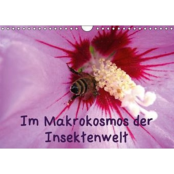 Im Makrokosmos der Insektenwelt (Wandkalender 2015 DIN A4 quer), Volkmar Großwendt