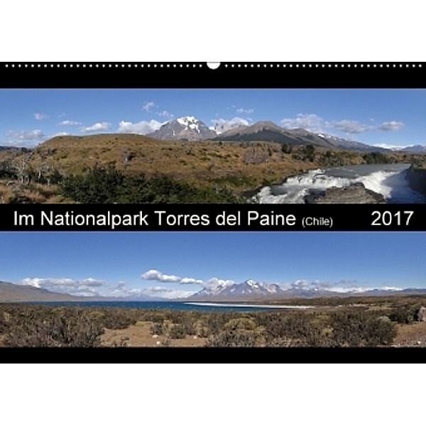 Im Nationalpark Torres del Paine (Chile) (Wandkalender 2017 DIN A2 quer), Flori0