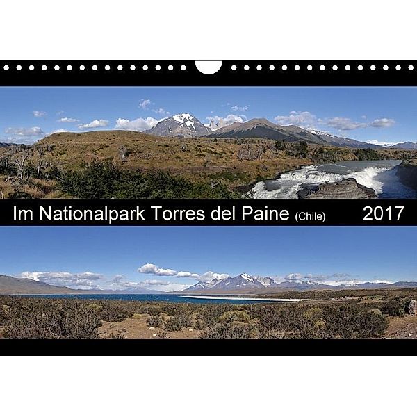 Im Nationalpark Torres del Paine (Chile) (Wandkalender 2017 DIN A4 quer), Flori0