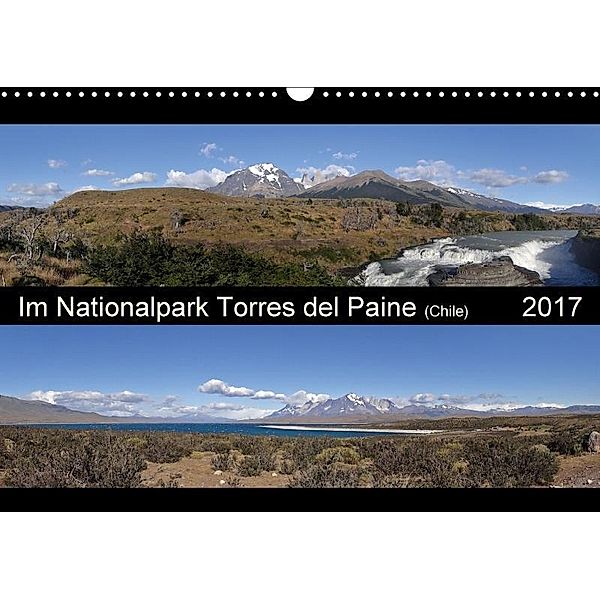 Im Nationalpark Torres del Paine (Chile) (Wandkalender 2017 DIN A3 quer), flori0, k.A. Flori0
