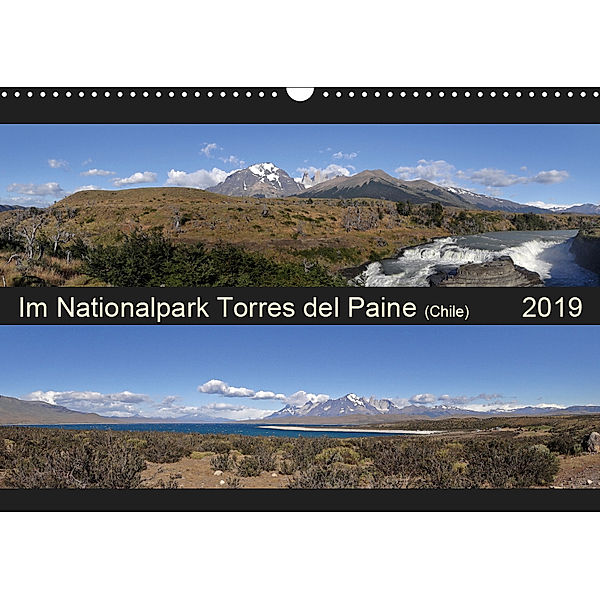 Im Nationalpark Torres del Paine (Chile) (Wandkalender 2019 DIN A3 quer), Flori0