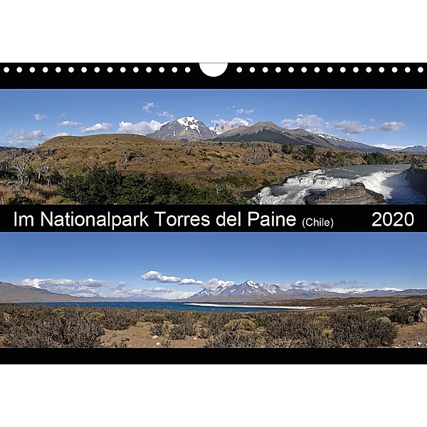 Im Nationalpark Torres del Paine (Chile) (Wandkalender 2020 DIN A4 quer)