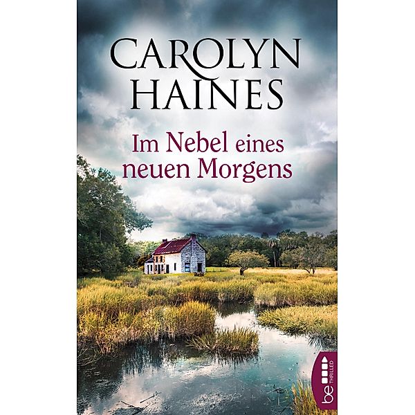 Im Nebel eines neuen Morgens / Die Südstaaten-Krimis Bd.4, Carolyn Haines