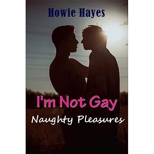 I'm Not Gay / Mojo Enterprises, Howie Hayes