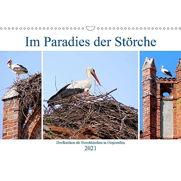 Im Paradies der Störche - Dorfkirchen als Storchkirchen in Ostpreußen (Wandkalender 2021 DIN A3 quer), Henning von Löwis of Menar, Henning von Löwis of Menar