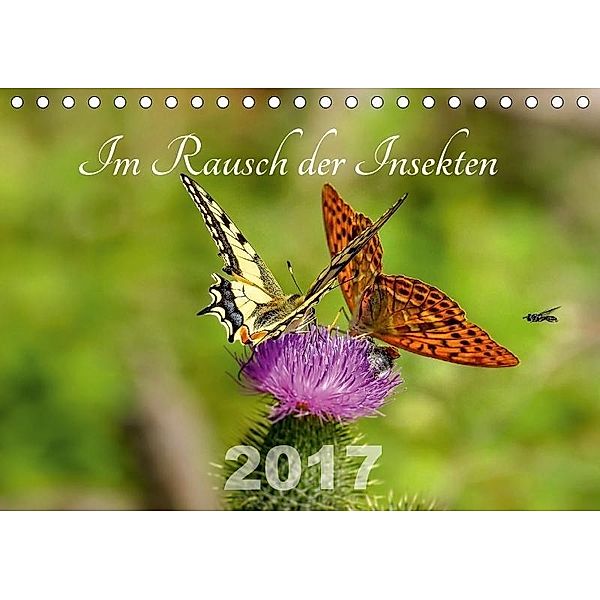 Im Rausch der Insekten (Tischkalender 2017 DIN A5 quer), Leona Haase