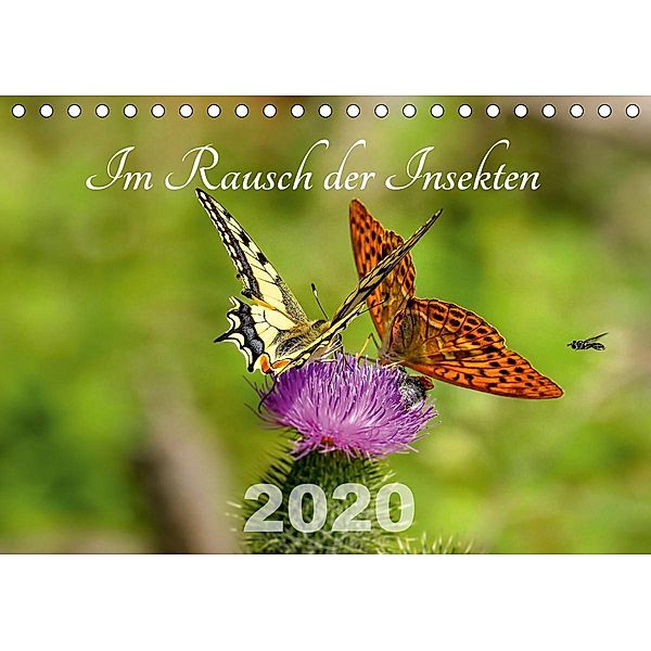 Im Rausch der Insekten (Tischkalender 2020 DIN A5 quer), Leona Haase