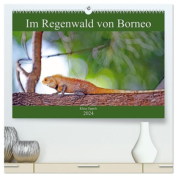 Im Regenwald von Borneo (hochwertiger Premium Wandkalender 2024 DIN A2 quer), Kunstdruck in Hochglanz, Klaus Eppele