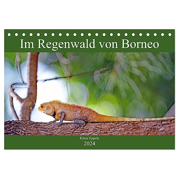 Im Regenwald von Borneo (Tischkalender 2024 DIN A5 quer), CALVENDO Monatskalender, Klaus Eppele