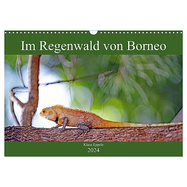 Im Regenwald von Borneo (Wandkalender 2024 DIN A3 quer), CALVENDO Monatskalender, Klaus Eppele