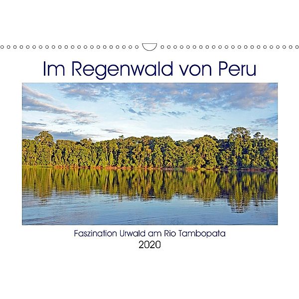 Im Regenwald von Peru, Faszination Urwald am Rio Tambopata (Wandkalender 2020 DIN A3 quer), Ulrich Senff