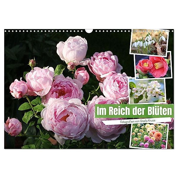Im Reich der Blüten (Wandkalender 2025 DIN A3 quer), CALVENDO Monatskalender, Calvendo, Gisela Kruse