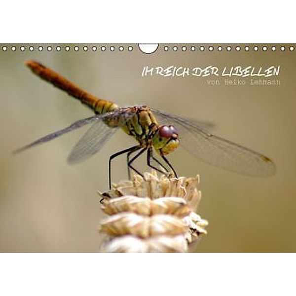 Im Reich der Libellen (Wandkalender 2016 DIN A4 quer), Heiko Lehmann