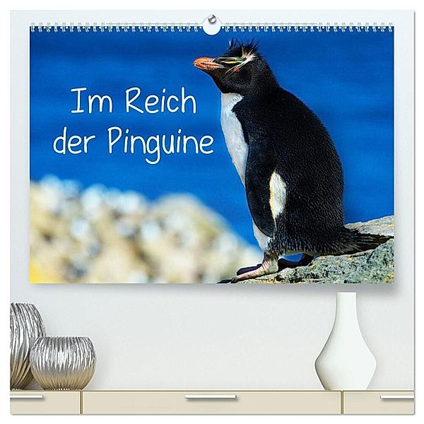 Im Reich der Pinguine (hochwertiger Premium Wandkalender 2025 DIN A2 quer), Kunstdruck in Hochglanz, Calvendo, Hans-Gerhard Pfaff
