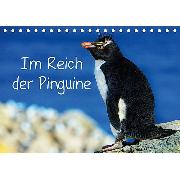 Im Reich der Pinguine (Tischkalender 2019 DIN A5 quer), Hans-Gerhard Pfaff