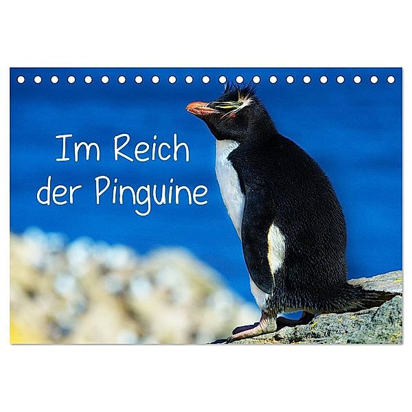 Im Reich der Pinguine (Tischkalender 2024 DIN A5 quer), CALVENDO Monatskalender, Hans-Gerhard Pfaff