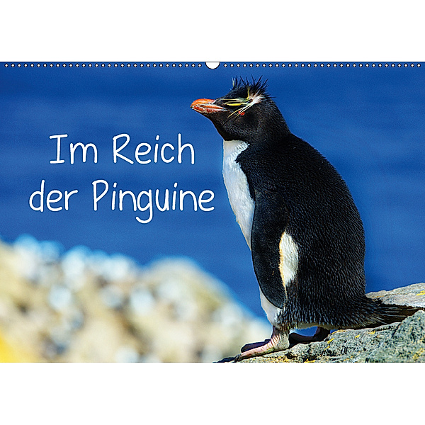 Im Reich der Pinguine (Wandkalender 2019 DIN A2 quer), Hans-Gerhard Pfaff