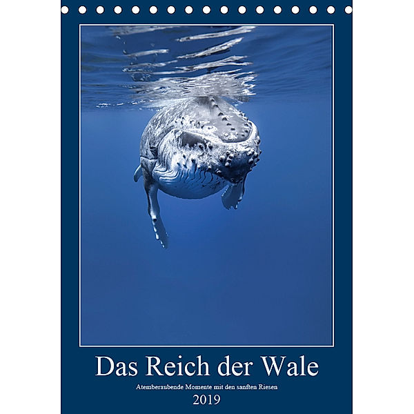 Im Reich der Wale (Tischkalender 2019 DIN A5 hoch), Travelpixx. com