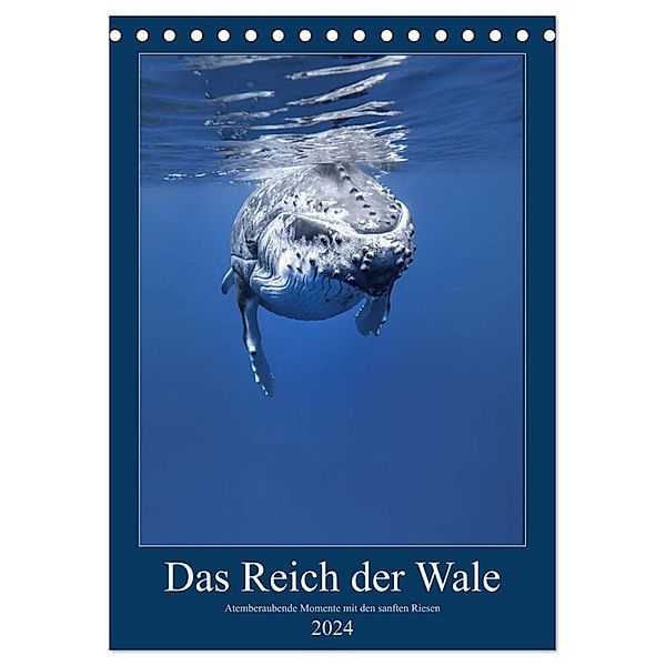 Im Reich der Wale (Tischkalender 2024 DIN A5 hoch), CALVENDO Monatskalender, Travelpixx.com