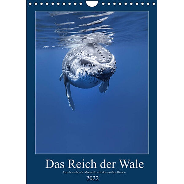 Im Reich der Wale (Wandkalender 2022 DIN A4 hoch), Travelpixx.com