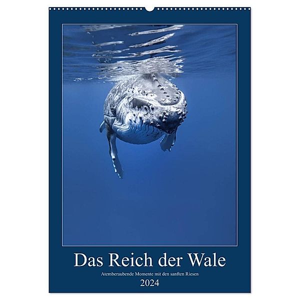 Im Reich der Wale (Wandkalender 2024 DIN A2 hoch), CALVENDO Monatskalender, Travelpixx.com