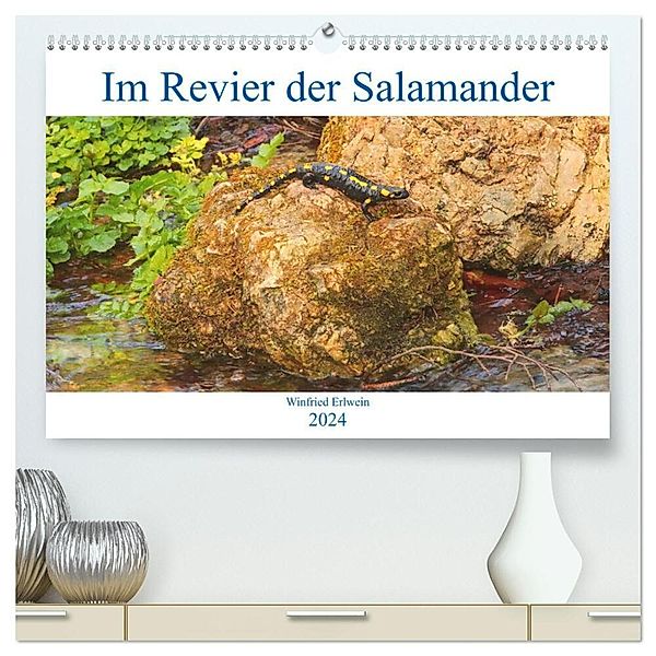 Im Revier der Salamander (hochwertiger Premium Wandkalender 2024 DIN A2 quer), Kunstdruck in Hochglanz, Winfried Erlwein