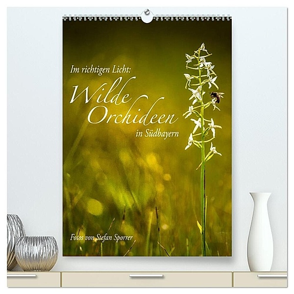 Im richtigen Licht: Wilde Orchideen in Südbayern (hochwertiger Premium Wandkalender 2024 DIN A2 hoch), Kunstdruck in Hochglanz, Stefan Sporrer