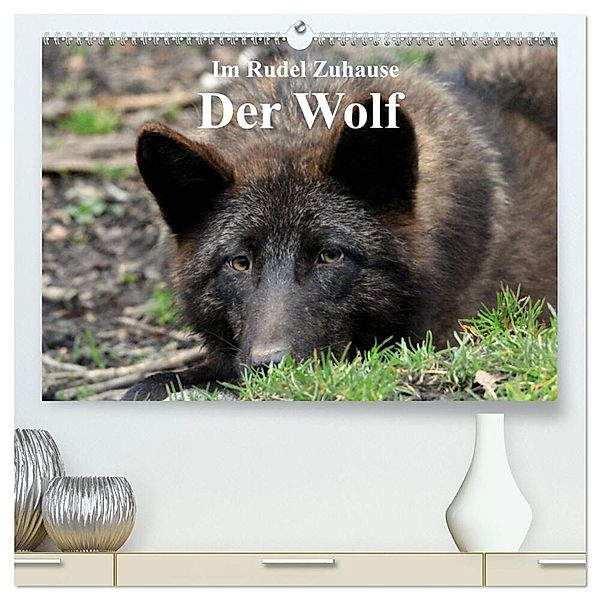Im Rudel Zuhause - Der Wolf (hochwertiger Premium Wandkalender 2024 DIN A2 quer), Kunstdruck in Hochglanz, Arno Klatt