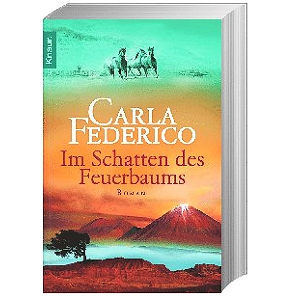 Im Schatten des Feuerbaums / Chile-Saga Bd.3, Carla Federico
