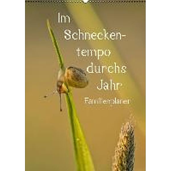 Im Schneckentempo durchs Jahr / Familienplaner (Wandkalender 2015 DIN A2 hoch), Andrea Potratz