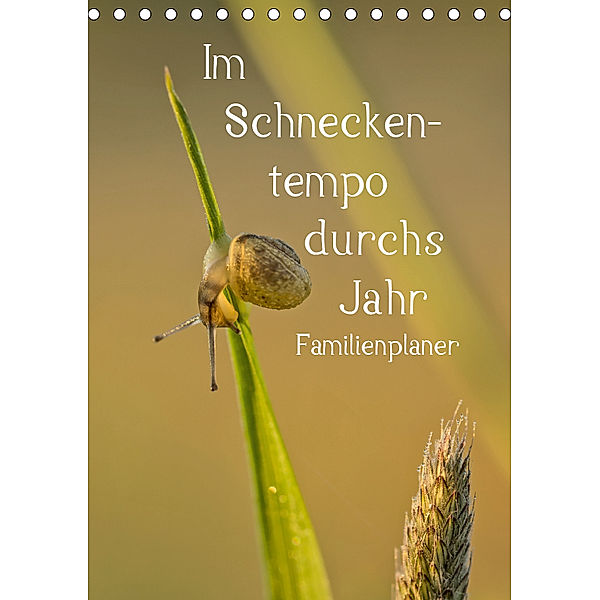 Im Schneckentempo durchs Jahr / Familienplaner (Tischkalender 2019 DIN A5 hoch), Andrea Potratz