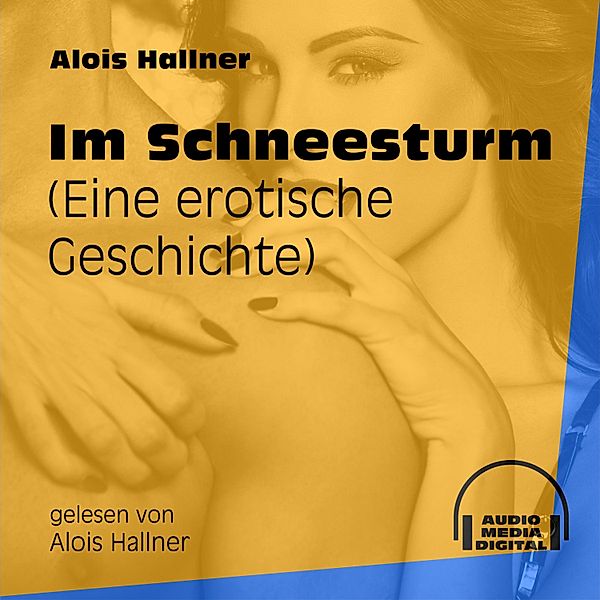 Im Schneesturm, Alois Hallner