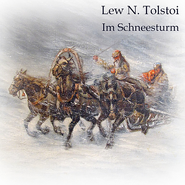 Im Schneesturm,Audio-CD, MP3, Leo N. Tolstoi