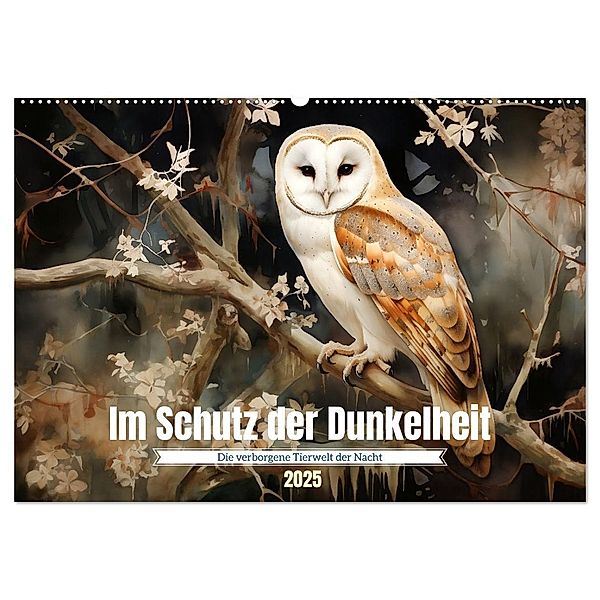 Im Schutz der Dunkelheit (Wandkalender 2025 DIN A2 quer), CALVENDO Monatskalender, Calvendo, Daniela Tapper